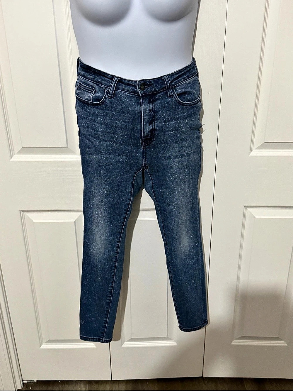 Judy Blue Skinny Jeans in Blue 5/27